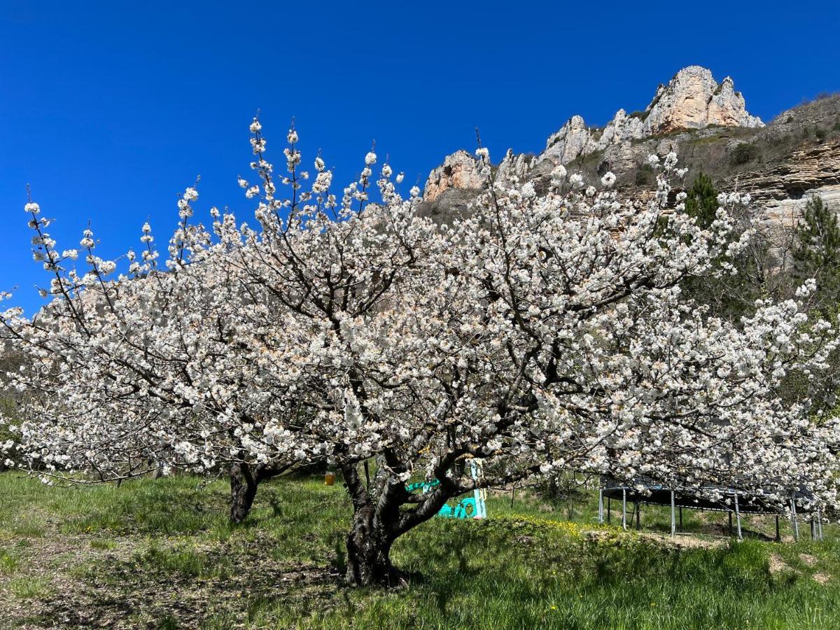 Gite Du Vallon Des Sources Millau Zewnętrze zdjęcie